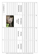 Faltbuch-Amsel.pdf